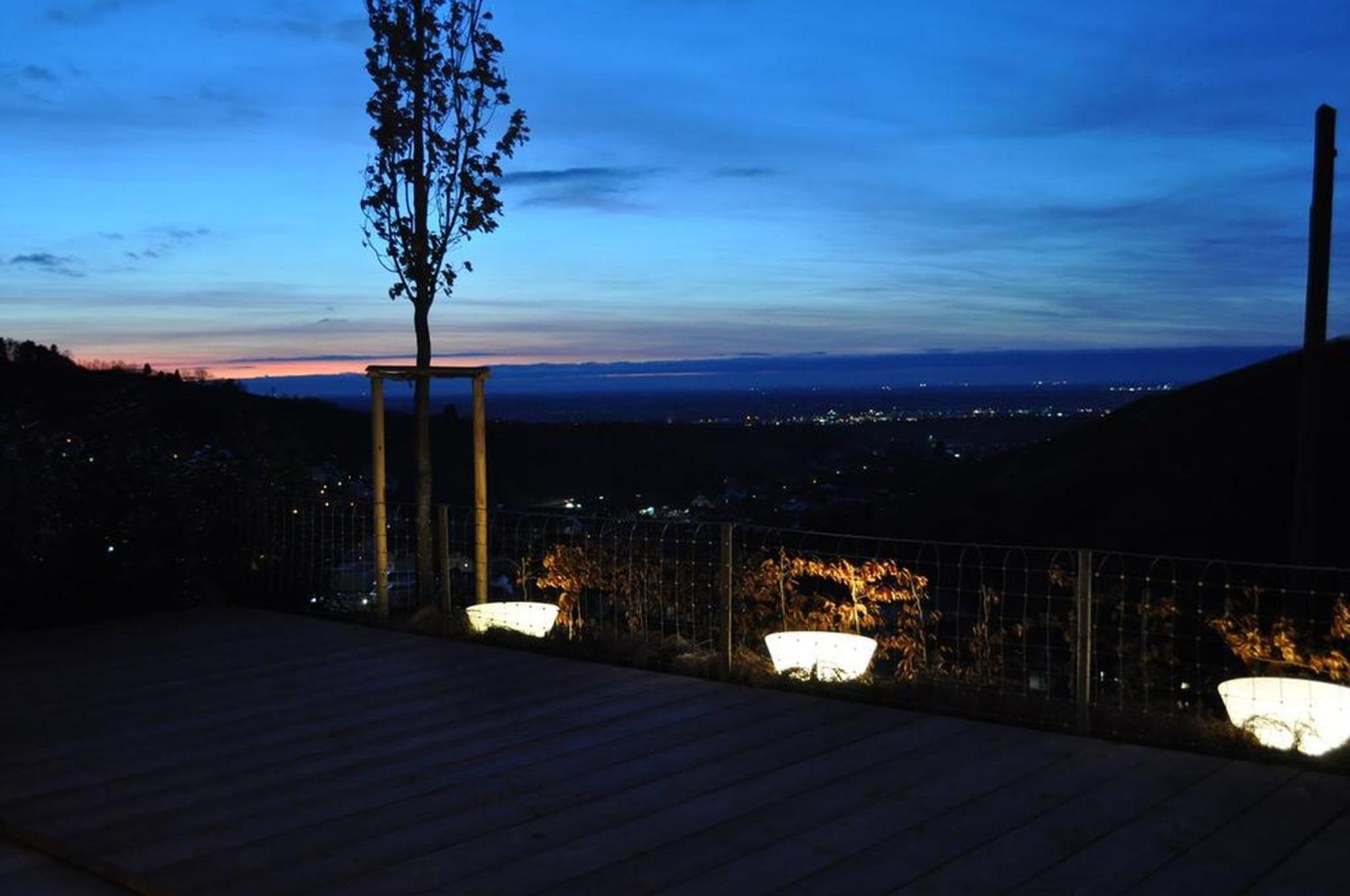 Ferienhaus Mit Panoramablick Бюлерталь Екстер'єр фото